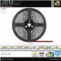 TIRA LED BLANCO NEUTRO 12V DC IP65 5m
