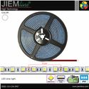 TIRA LED BLANCO FRÍO 12V DC IP67 5m