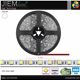 TIRA LED BLANCO FRÍO 12V DC IP20 5m - 5050-12V-CW-IP20