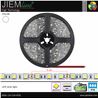 TIRA LED BLANCO FRÍO 12V DC IP20 5m