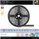TIRA LED RGB+CCT 24V DC IP20 5m - 5050-24V-RGB+CCT-IP20
