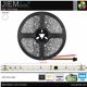 TIRA LED BLANCO FRÍO WS2811 24V DC IP20 5m - 2835-WS2811-24V-CW-IP20